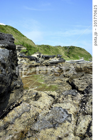 岩礁海岸  潮が引いた磯　海辺の環境 105770625