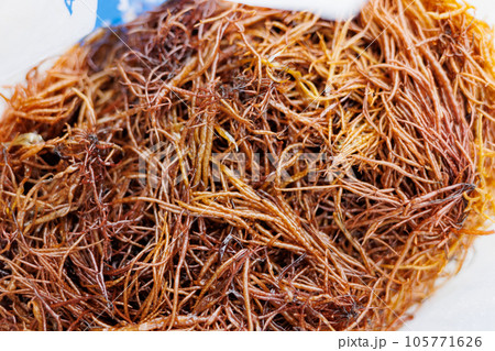 布海苔収穫体験_収穫した布海苔(青森県風間浦村) 布海苔収穫体験_収穫した布海苔(青森県風間浦村) 105771626