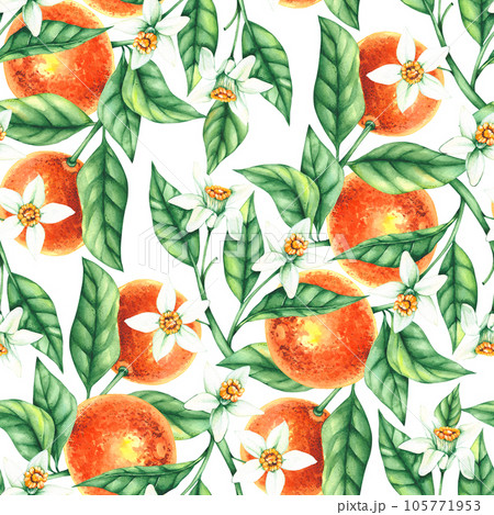 Watercolor tangerine hand-drawn seamless pattern 105771953
