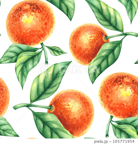Watercolor tangerine hand-drawn seamless pattern 105771954
