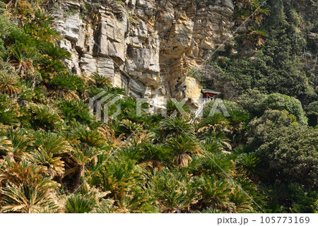 御崎神社 105773169