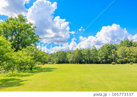 のどかな夏の風景：緑の牧場 105773537