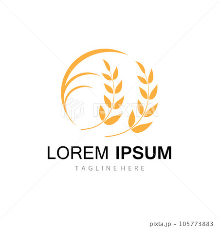 Agriculture wheat vector Agriculture wheat vector 105773883