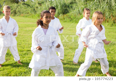 Tweenagers of different nationalities learning karate moves on green lawn Tweenagers of different nationalities learning karate moves on green lawn 105774223