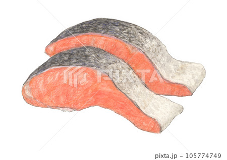 鮭切り身 水彩色鉛筆イラスト 鮭切り身 水彩色鉛筆イラスト 105774749