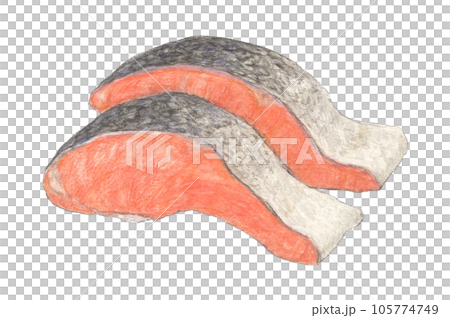 鮭切り身 水彩色鉛筆イラスト 鮭切り身 水彩色鉛筆イラスト 105774749