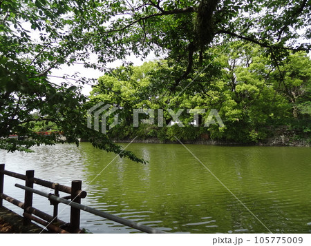 小田原城 105775009