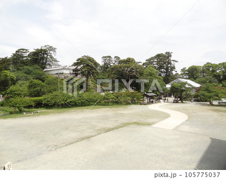 小田原城 105775037