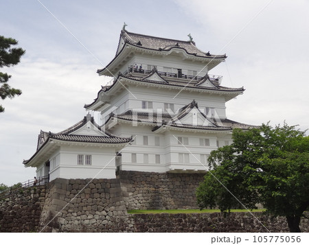 小田原城 105775056