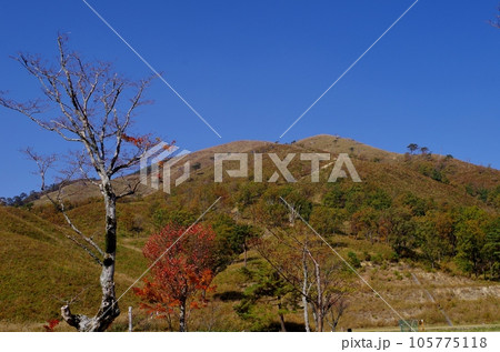 安芸太田町　深入山の紅葉 105775118