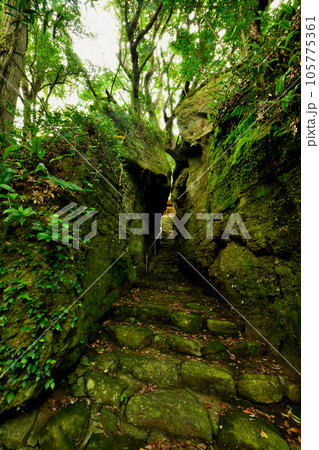 秋葉神社(押分岩の向こうに本殿) 【和歌山県田辺市芳養町】 秋葉神社(押分岩の向こうに本殿) 【和歌山県田辺市芳養町】 105775361