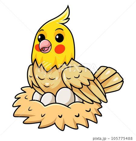 Cute lutino cockatiel bird cartoon with eggs in the nest Cute lutino cockatiel bird cartoon with eggs in the nest 105775488
