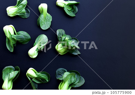 Bok choy on dark background. 105775900