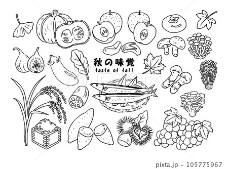 手描き 秋の味覚 イラストセット 手描き 秋の味覚 イラストセット 105775967