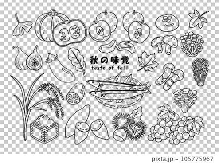 手描き 秋の味覚 イラストセット 手描き 秋の味覚 イラストセット 105775967
