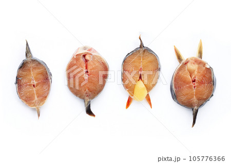Catfish cut pieces on white background. Catfish cut pieces on white background. 105776366