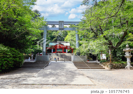 新緑の三の鳥居と総門 新緑の三の鳥居と総門 105776745