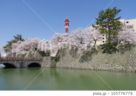 春の福井城跡と御本城橋 105776779