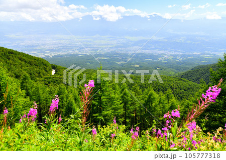 チェリーパークラインより蓼科山方面を望む(長野県小諸市)【2023.8】 チェリーパークラインより蓼科山方面を望む(長野県小諸市)【2023.8】 105777318