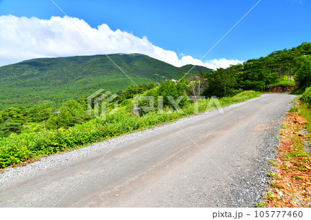 湯の丸高峰併用林道／車坂峠(黒斑山)方面を望む(長野県小諸市)【2023.8】 105777460