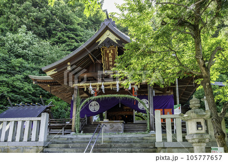 福井 毛谷黒龍神社 拝殿 福井県福井市 福井 毛谷黒龍神社 拝殿 福井県福井市 105777657