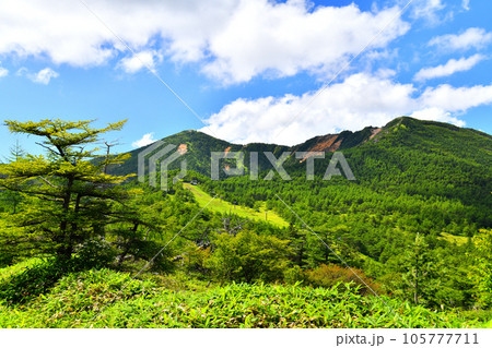 東篭ノ登山～赤ゾレ～水ノ塔山方面を望む(長野県小諸市)【2023.8】 105777711