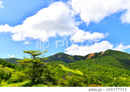 東篭ノ登山~赤ゾレ~水ノ塔山方面を望む(長野県小諸市)【2023.8】 東篭ノ登山~赤ゾレ~水ノ塔山方面を望む(長野県小諸市)【2023.8】 105777713