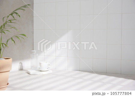 Various props in the bathroom background Various props in the bathroom background 105777804