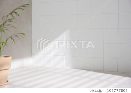Various props in the bathroom background Various props in the bathroom background 105777805