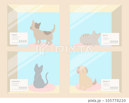 ペットショップのショーウィンドウのイラスト	 105778220