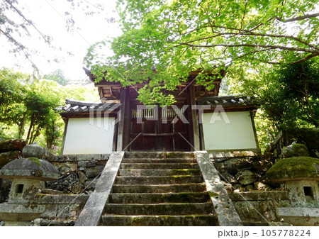 京都 二尊院 門 京都 二尊院 門 105778224