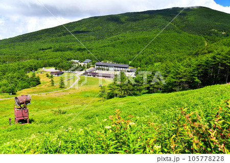 高峰高原のヤナギラン(長野県小諸市)【2023.8】 105778228