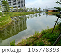 新広島の風景写真 105778393