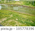 風景写真　新広島の風景写真 105778396