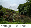 風景写真 木々達 105778400