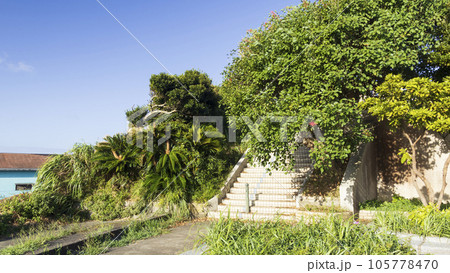 神奈川県三浦市三浦半島の城ヶ島の夏 105778470
