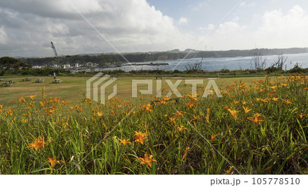 神奈川県三浦市三浦半島の城ヶ島の夏 105778510