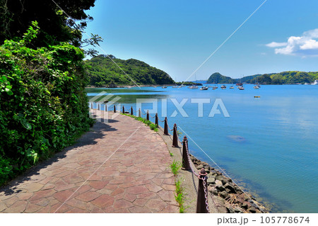 伊豆半島・南伊豆・寝姿山を望む下田湾の静かな眺めが楽しめるハリスの小径・静岡県下田市(3) 伊豆半島・南伊豆・寝姿山を望む下田湾の静かな眺めが楽しめるハリスの小径・静岡県下田市(3) 105778674