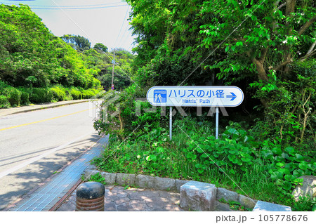 伊豆半島・南伊豆・寝姿山を望む下田湾の静かな眺めが楽しめるハリスの小径・静岡県下田市(4) 伊豆半島・南伊豆・寝姿山を望む下田湾の静かな眺めが楽しめるハリスの小径・静岡県下田市(4) 105778676