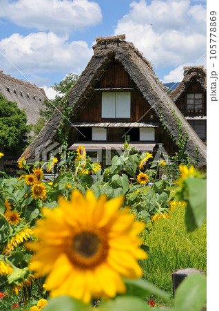 世界遺産白川郷合掌造りの美しい風景 世界遺産白川郷合掌造りの美しい風景 105778869