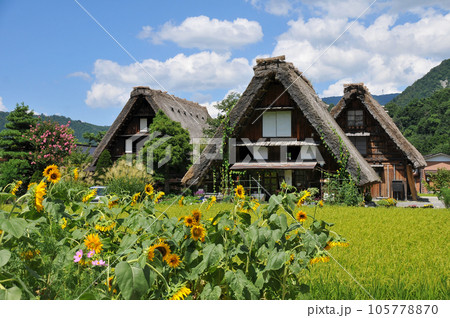 世界遺産白川郷合掌造りの美しい風景の写真素材 [105778870] - PIXTA