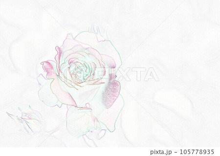 パステル調 ”満開のバラと蕾” イラストイメージ パステル調 ”満開のバラと蕾” イラストイメージ 105778935