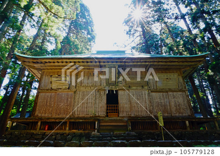 平泉寺白山神社　拝殿　新緑　初夏 105779128
