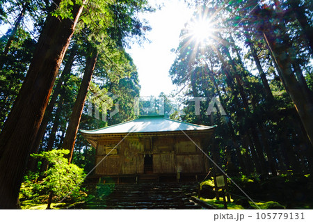 平泉寺白山神社　拝殿　新緑　初夏 105779131