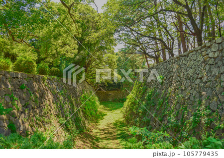 緑生い茂る石垣の間の道 緑生い茂る石垣の間の道 105779435