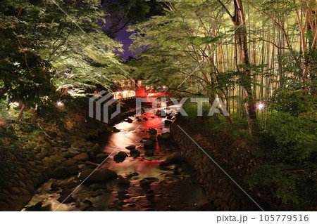 修善寺温泉 夜景 修善寺温泉 夜景 105779516