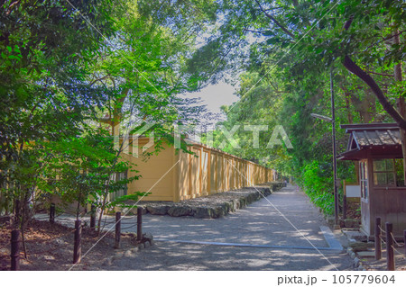 夏の時期のこころの小径の風景 105779604