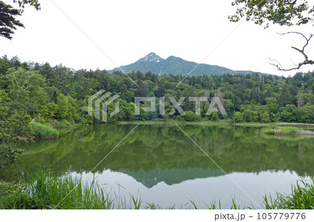 姫沼から見る利尻山 利尻島 北海道 姫沼から見る利尻山 利尻島 北海道 105779776