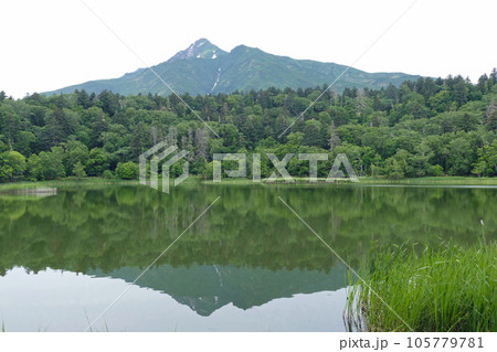 姫沼から見る利尻山 利尻島 北海道 姫沼から見る利尻山 利尻島 北海道 105779781