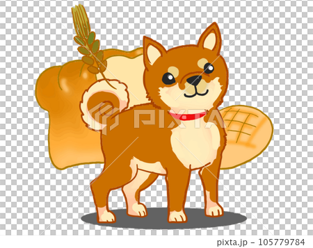 麵包和柴犬 麵包和柴犬 105779784